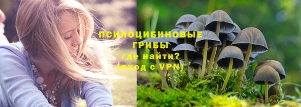 а пвп мука Абдулино